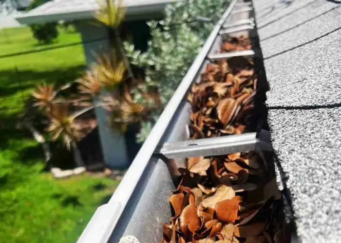 Dunbar gutter cleaning home page